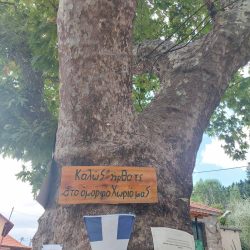 εικόνα_Viber_2023-09-29_20-04-00-153