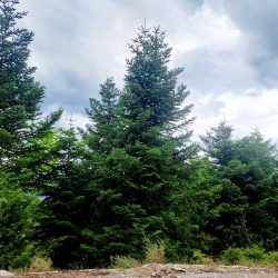 εικόνα_Viber_2023-09-29_20-04-01-555